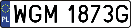 WGM1873G