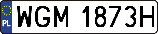 WGM1873H