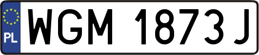 WGM1873J