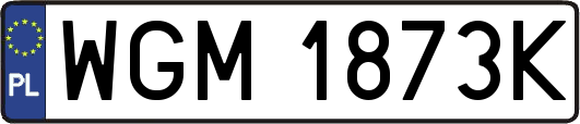 WGM1873K