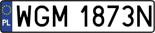 WGM1873N