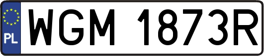WGM1873R
