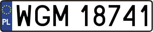 WGM18741