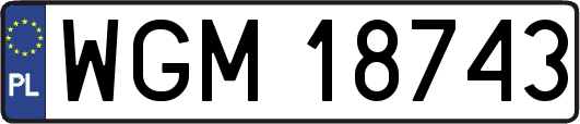 WGM18743