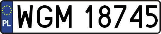 WGM18745