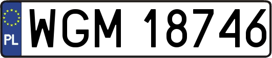 WGM18746