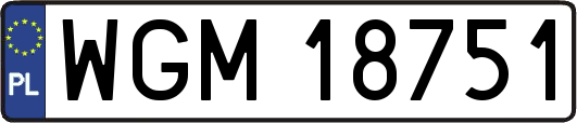WGM18751