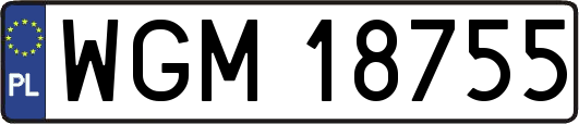 WGM18755
