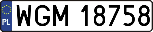 WGM18758