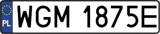 WGM1875E