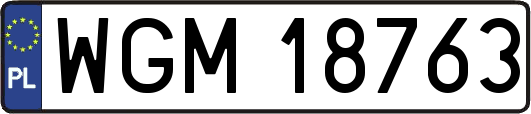 WGM18763