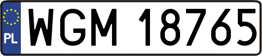WGM18765