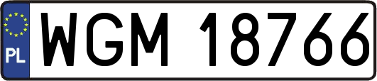 WGM18766