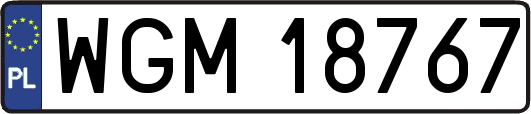 WGM18767