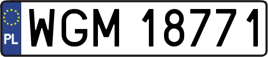 WGM18771