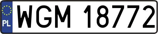 WGM18772