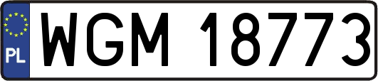 WGM18773