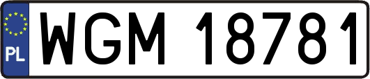 WGM18781
