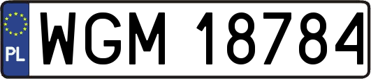 WGM18784
