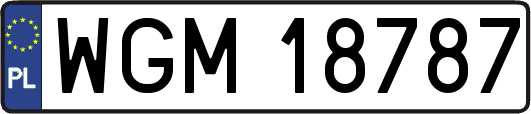 WGM18787