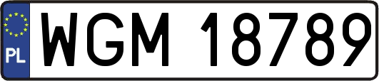 WGM18789