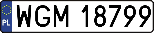 WGM18799