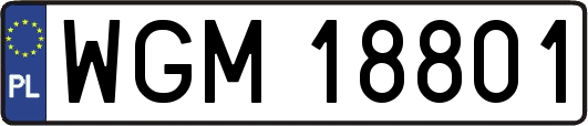 WGM18801