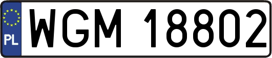 WGM18802