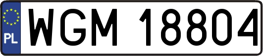 WGM18804