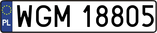 WGM18805