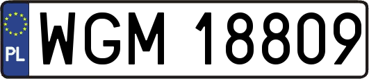 WGM18809