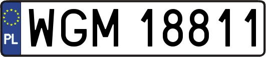 WGM18811
