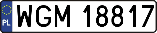 WGM18817