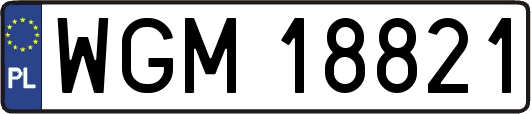 WGM18821