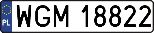 WGM18822