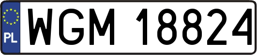 WGM18824