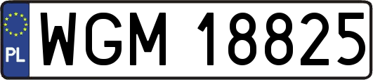 WGM18825