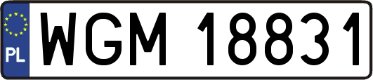 WGM18831