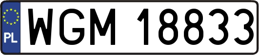 WGM18833