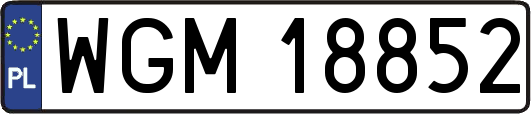 WGM18852