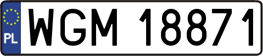 WGM18871