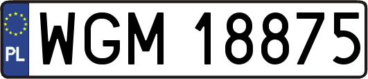 WGM18875
