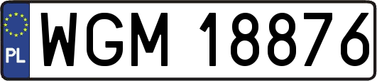 WGM18876
