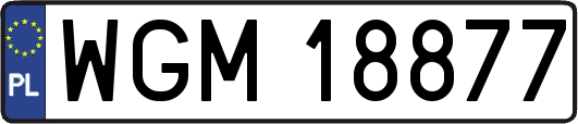 WGM18877