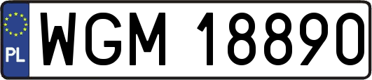WGM18890