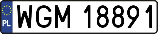 WGM18891