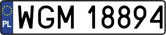 WGM18894