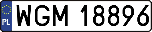 WGM18896