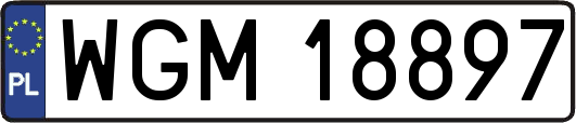 WGM18897