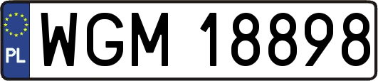 WGM18898